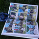 Illustration for article titled Niner Gold Stars - September 5